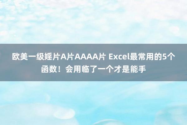 欧美一级婬片A片AAAA片 Excel最常用的5个函数！会用临了一个才是能手